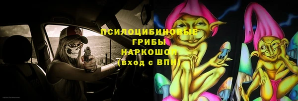 твердый Дмитров