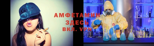 сатива Дмитриев