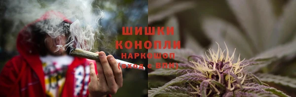 твердый Дмитров