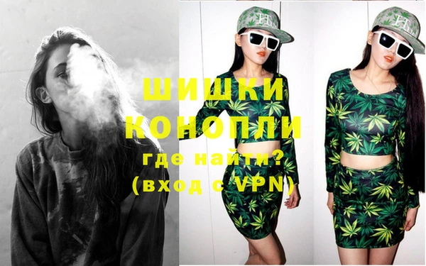 твердый Дмитров
