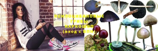 сатива Дмитриев
