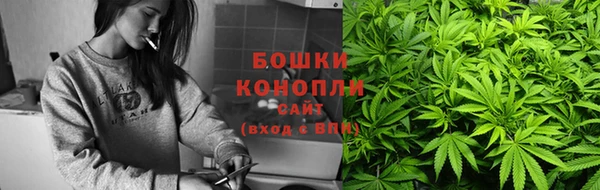 твердый Дмитров