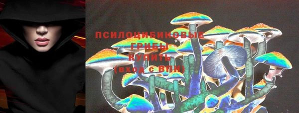 сатива Дмитриев