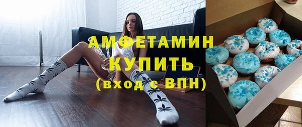 сатива Дмитриев