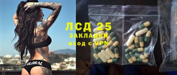 сатива Дмитриев