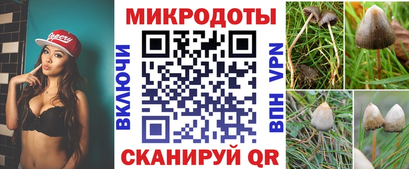 Галлюциногенные грибы MAGIC MUSHROOMS  Цивильск 